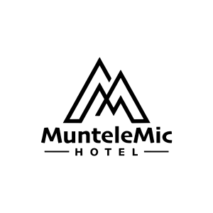 logo muntele mic